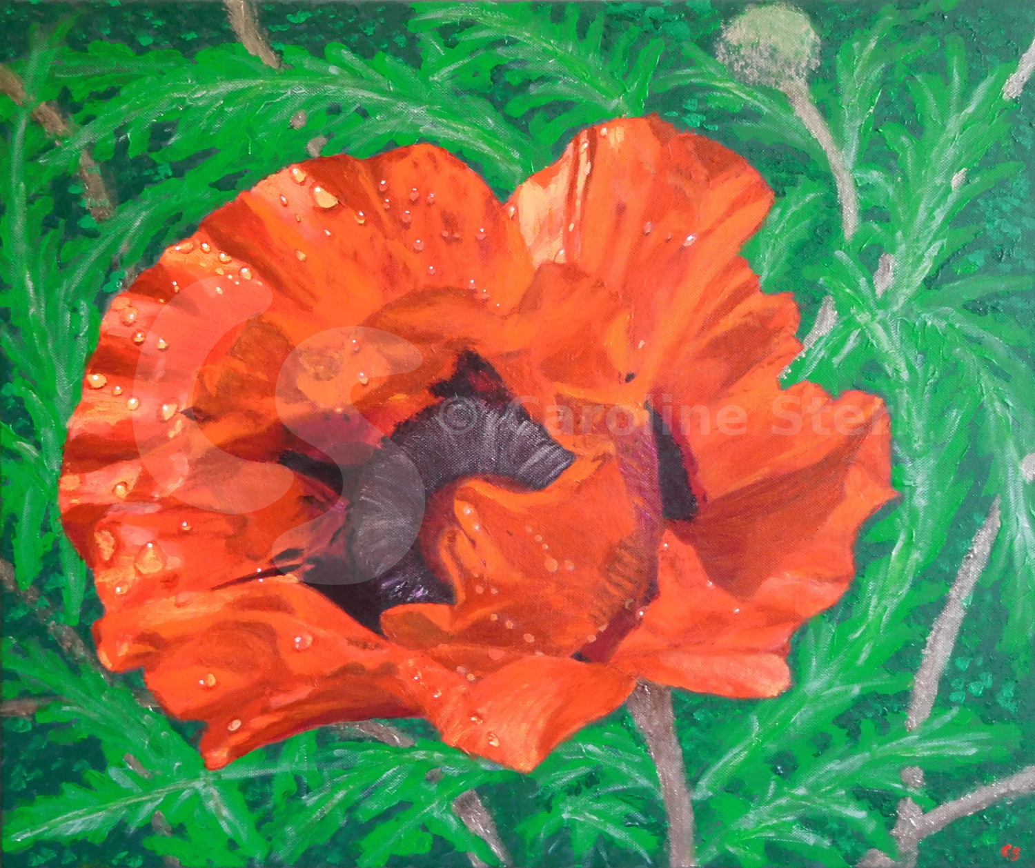 Painting: Oriental Poppy 2